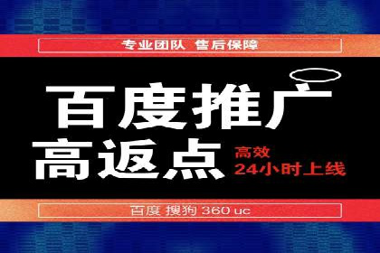 SEM推广公司案例：打造行业领军品牌