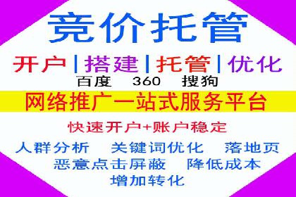 SEM推广公司案例分享：电商品牌崛起之路